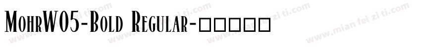 MohrW05-Bold Regular字体转换